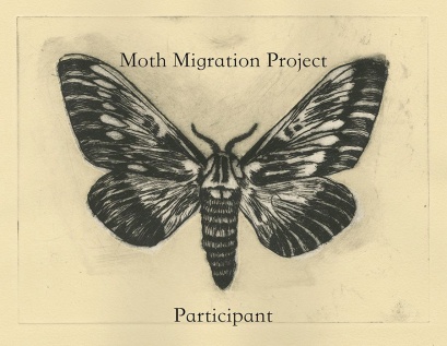 Moth_Migration_Participant