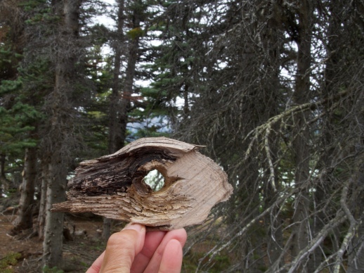 Me playing around with pieces of wood I found at Lindeman Lake