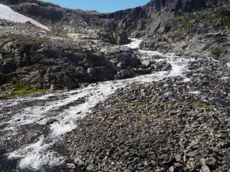Melting snow on the Chilkoot