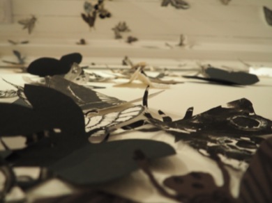 Moth Migration Project at Bundaberg Regional Gallery