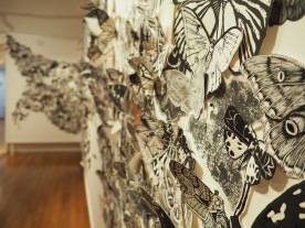 Moth Migration Project at Gympie Regional Gallery, Australia